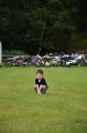MCE Sommertreffen 2016 - 177